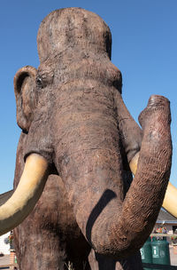 Close-up of elephant against clear sky