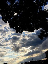 Low angle view of silhouette trees against sky