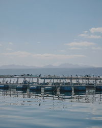 Sailboats moored in sea against sky