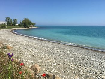 Scenic view of beach against clear blue sky