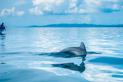 Fish swimming in sea against sky