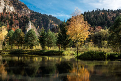 Scenic view of lake by trees against sky