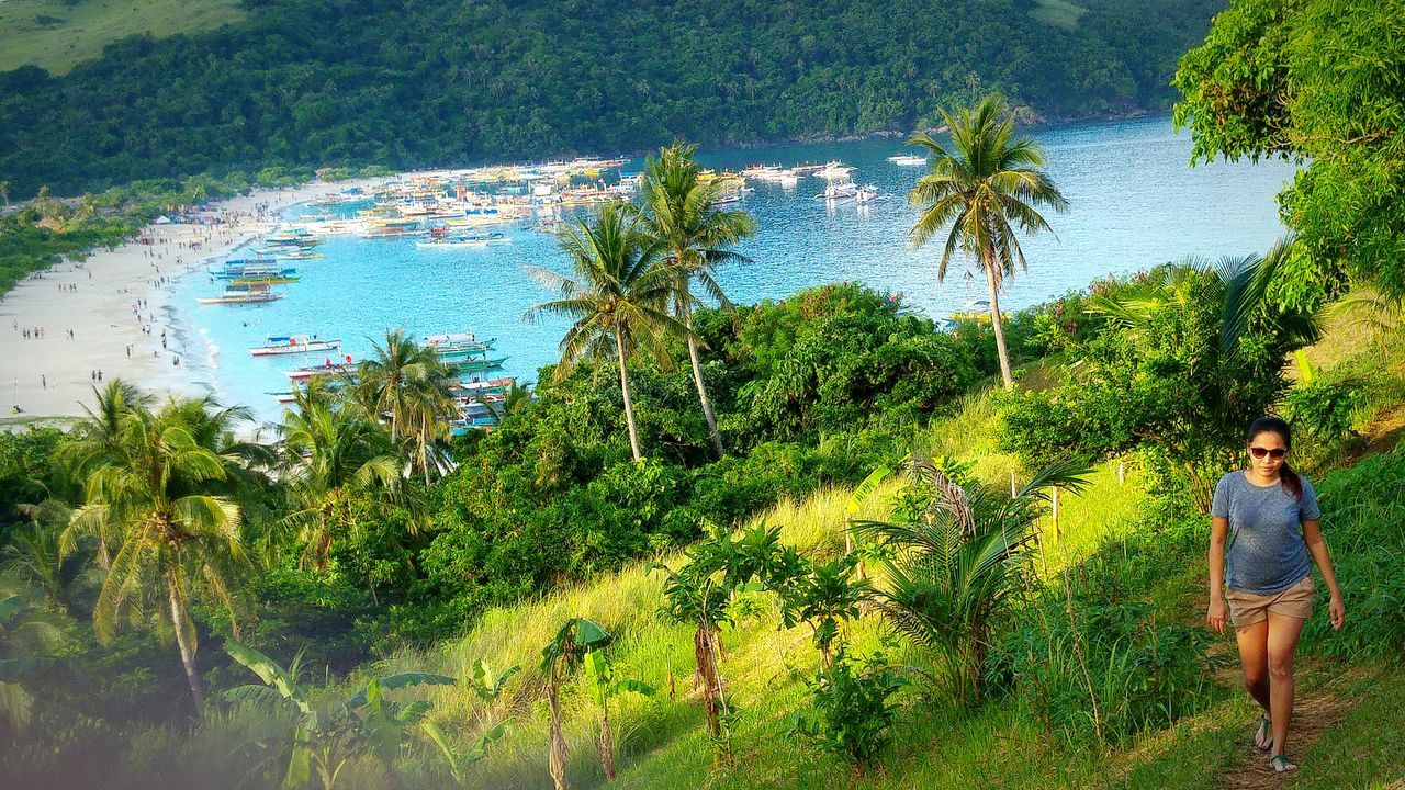 lifestyles, leisure activity, water, men, casual clothing, tree, standing, rear view, person, nature, sea, young men, full length, vacations, tourist, day, young adult