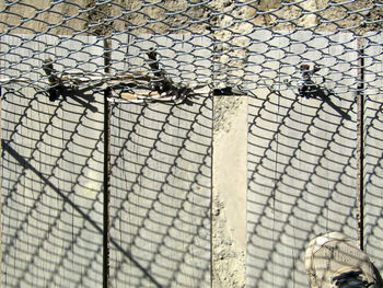 Full frame shot of metal fence