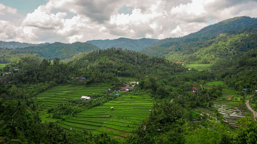 High angle view of trees and mountains against sky