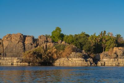 Trees and rocks against clear blue sky