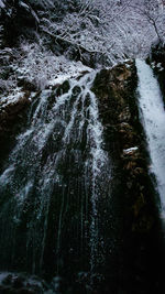 Scenic view of waterfall in forest