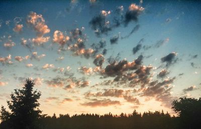 Silhouette trees against sky during sunset