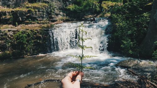 River flowing through rocks in forest