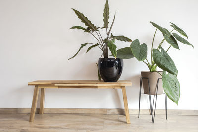 Potted plant on table against wall at home