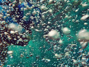 Person snorkeling in sea