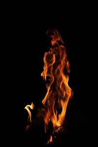 Close-up of bonfire against black background