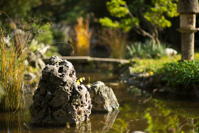 Close-up of rocks by lake