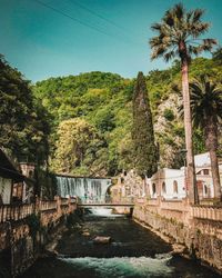 Scenic view of palm trees and houses against sky
