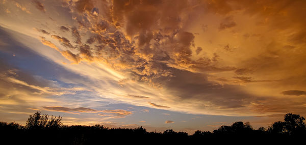 Low angle view of silhouette trees against sky during sunset