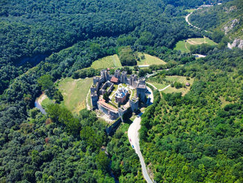 High angle view of trees in forest