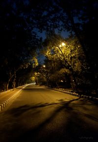 Street amidst trees against sky at night