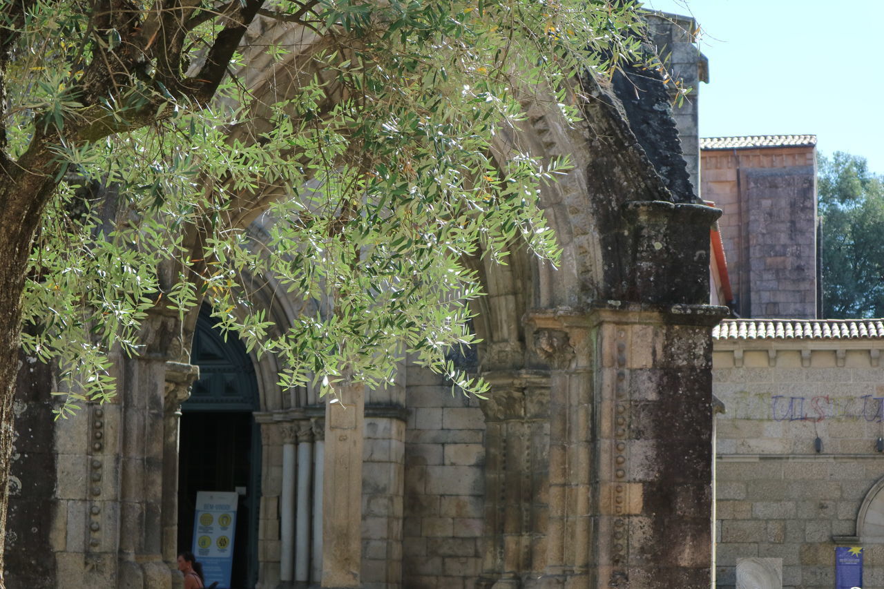 LOW ANGLE VIEW OF OLD BUILDING AND TREES