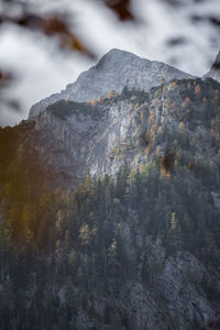 Close-up of rocks in winter