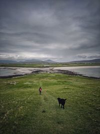 High angle view of woman and dog on field against sky