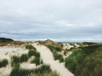 Scenic view of beach against sky