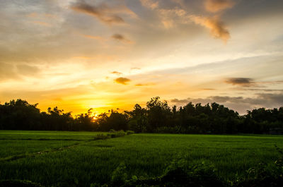 Scenic view of field against sky during sunset