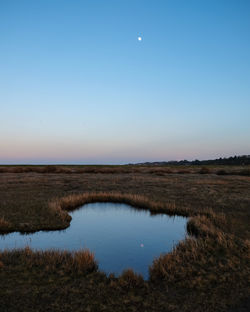 Scenic view of field against clear blue sky