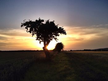 Scenic view of landscape at sunset