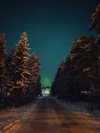 Road amidst trees against sky at night