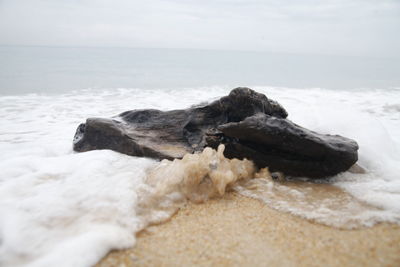 Scenic view of sea shore