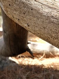 Close-up of peeled wall