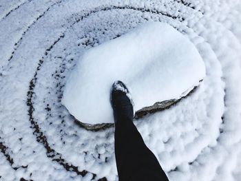 Low section of person on snow covered landscape during winter