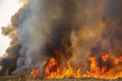 Panoramic view of bonfire