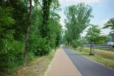 Empty road amidst trees against sky