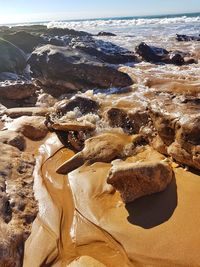 High angle view of crab on beach against sky