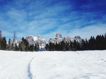 Trees on snow covered land against sky