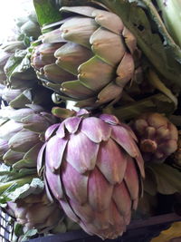 Close-up of purple slices