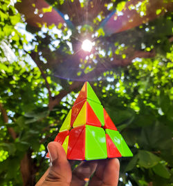 Pyramid puzzle under a tree