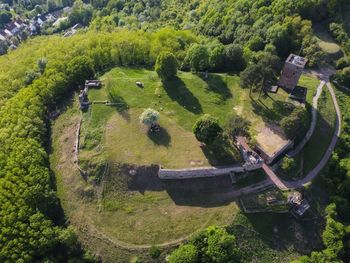 High angle view of trees on field