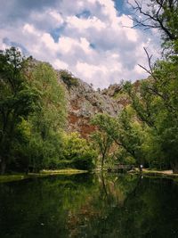 Scenic view of lake in forest