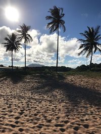 Palm trees on beach against sky