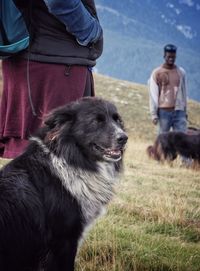 Rear view of dog standing on field