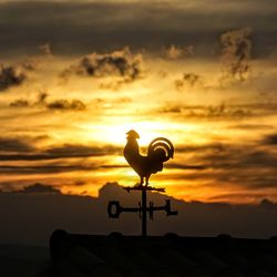 Silhouette bird on roof against sky during sunset