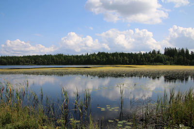 Scenic view of calm lake against blue sky