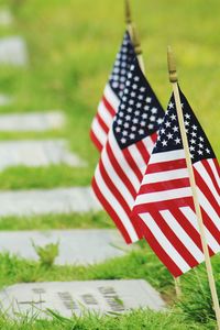 Close-up of american flags at military graveyard