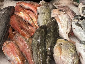 High angle view of fish for sale in market