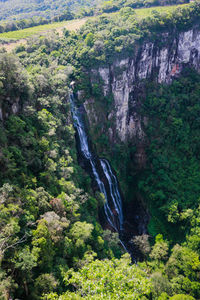 Scenic view of waterfall in forest