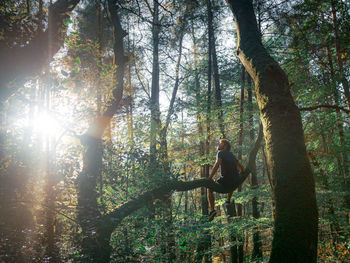 Man amidst trees in forest