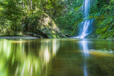 Scenic view of waterfall in forest