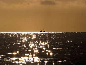 Silhouette birds flying over sea against sky during sunset